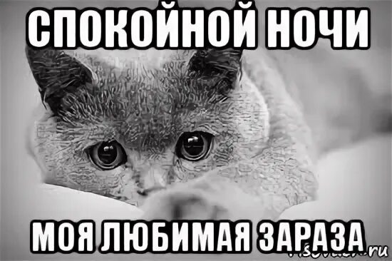 Твоя зараза. Твоя зараза. Зараза прикол. Вот такая я зараза. Я люблю тебя зараза.