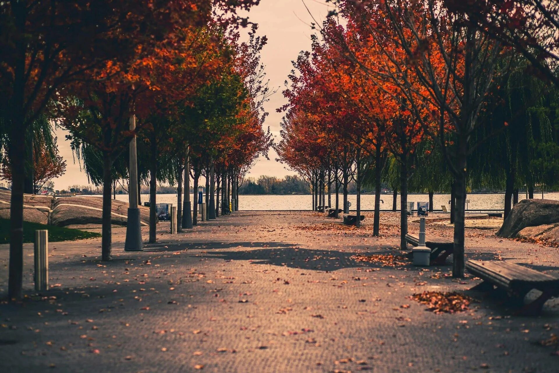 Томск осенью набережная. Лес квебек канада. Осень в нью-йорке» (autumn in new york), 2000. Улица в коричневых тонах. Улица осенью.
