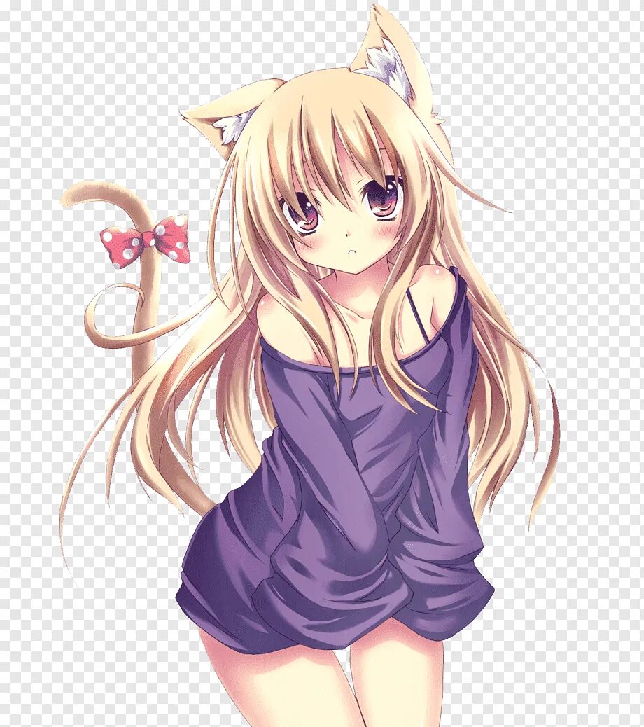 Kafuu chino неко. Вб для няшек. Неко-габриэль. Вб для няшек. Chino kafuu тян.