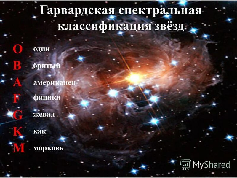 Один бритый англичанин жевал как морковь
