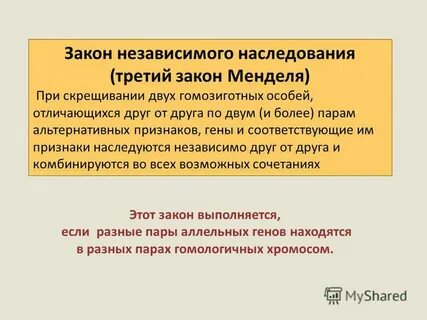 Независимое наследование это