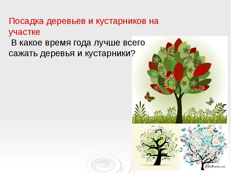 Представлены только деревьями и кустарниками