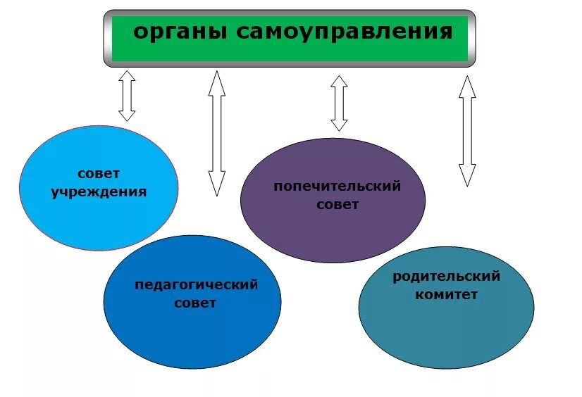 Органы самоуправления и административные организации. Органы государственного самоуправления в ДОУ. Формы самоуправления в учреждении дополнительного образования. Попечительский совет школы. Самоуправление в саду.