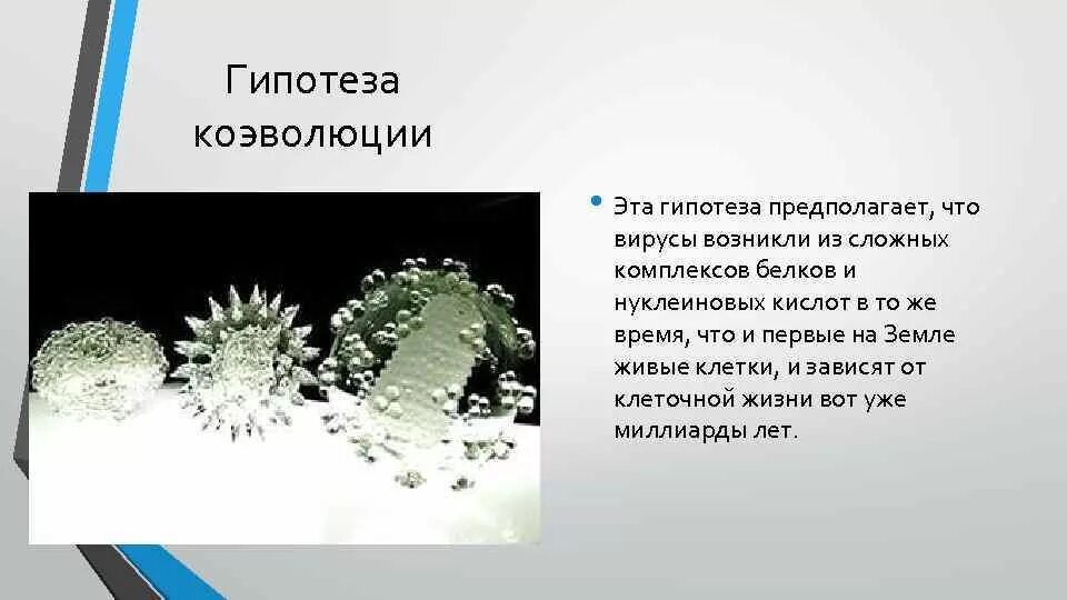 Гипотеза естествознание. Гипотезы возникновения вирусов. Гипотеза коэволюции. Гипотеза коэволюции вирусов. Происхождение вирусов.