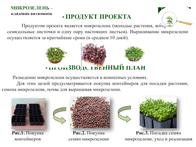 Таблица микрозелени. Грунт для микрозелени. презентация на тему микрозелень. схема выращивания микрозелени. тема микрозелень.