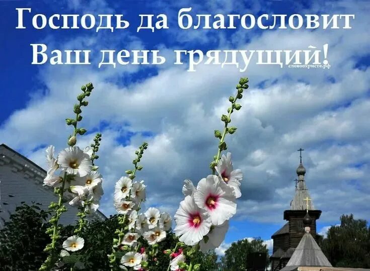 Красивые благословение. Доброго дня православные. Божьего благословения на день грядущий. Добрый день Божьих благословений. Божьего благословения на день и доброго утра.