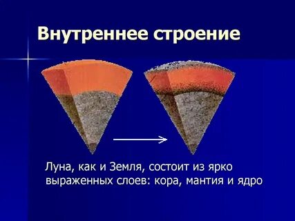 Самый внутренний слой коры