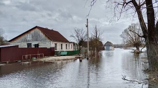 Радица-Крыловка Брянская область. Поселок Радица Крыловка Брянск. Радица-Крыловка Брянск паводок. Река Радица Брянская область.