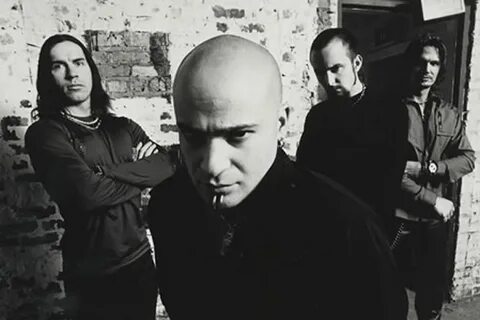 Disturbed