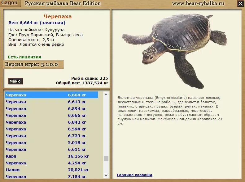 Turtle на русский. Беларусь черепаха русская рыбалка 3.7.6. Русская рыбалка 3 на что клюет черепаха. На что ловятся черепахи. Русская рыбалка 3 7 4 ганг черепаха.