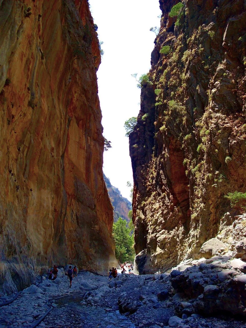 Каньон викос. Ущелье в греции. Национальный парк samaria gorge. Каньон самария. Национальный парк samaria gorge.