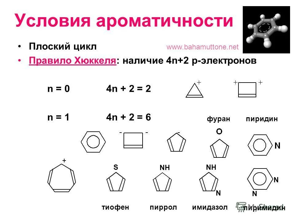цикл развития червей 7 класс биология. плоские циклы. жизненные циклы паразитических плоских червей. правило хюккеля ароматичность. жизненный цикл плоских червей схема.