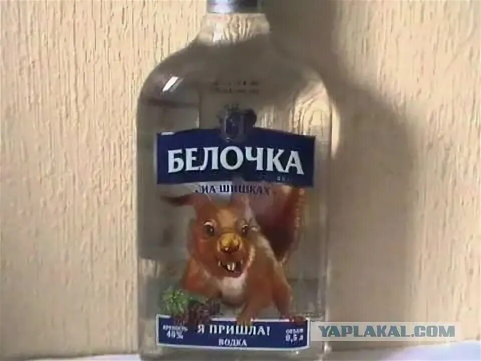 Когда приходит белочка от пьянки. Белочка белая горячка. белка алкогольная. белочка у алкоголиков.