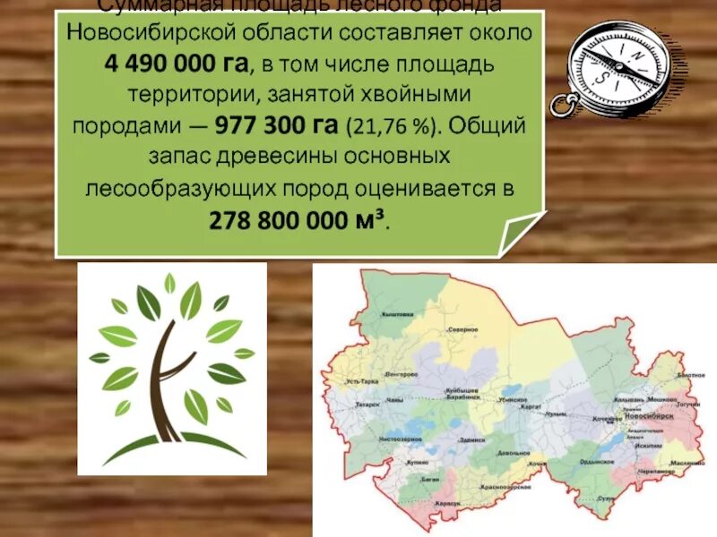 Размещение нсо в банке что это. Новосибирск размер территории. Размещение нсо в банке что это. Новосибирск на каре россии. Размещение нсо в банке что это.