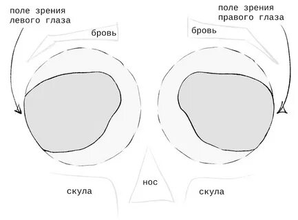 Поля глаза