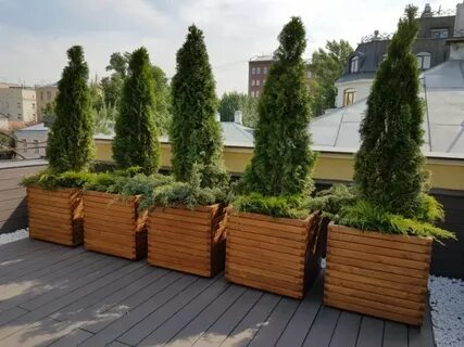 Кашпо для туи