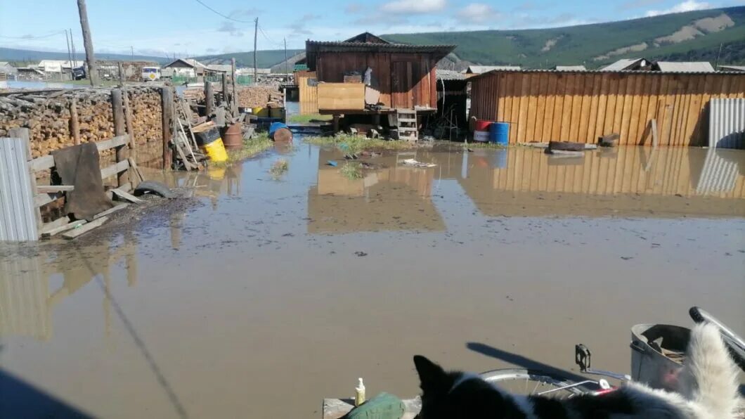 Почему поднимается уровень воды. Наводнение Дулгалах. Берег реки Дулгалах. Река Дулгалах Верхоянский район Якутия фото. Природа Верхоянского района.