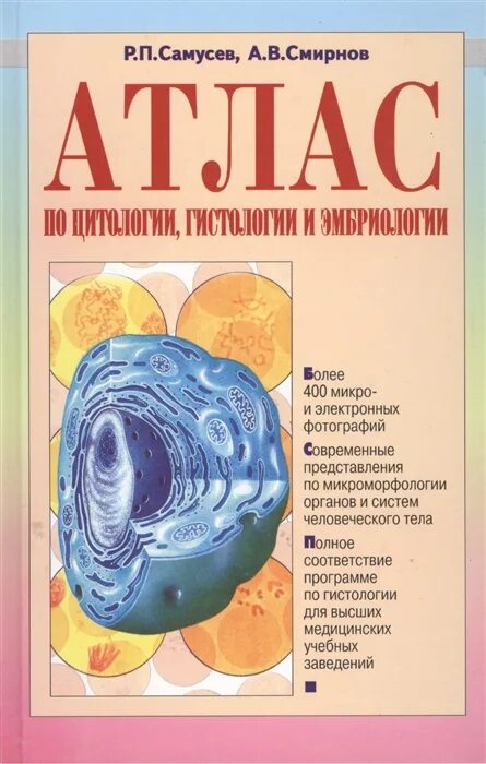 Атлас по гистологии. Атлас гистология самусев. атлас по гистологии самусев. атлас по гистологии цитологии и эмбриологии. самусев атлас гистология цитология.
