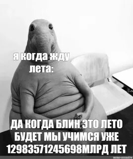 Не лето да мне