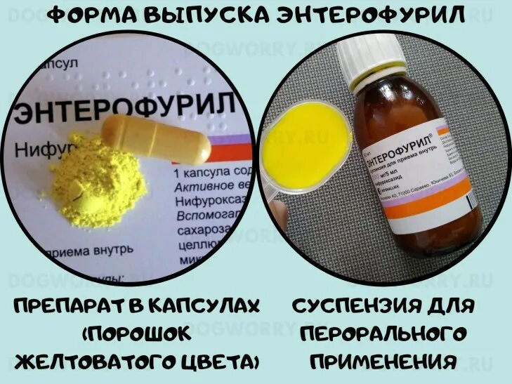 Что дать при поносе. Препараты при рвоте и диарее. таблетки для собак от поноса и рвоты. лекарство для собак при отравлении и поносе. энтерофурил собаке дозировка в капсулах.
