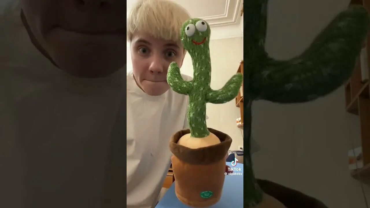 Биг бокс батл с кактусом. Раф с кактусом. Бит бокс бал с кактусом. Бит батл с кактусом. Виндяй 2022.