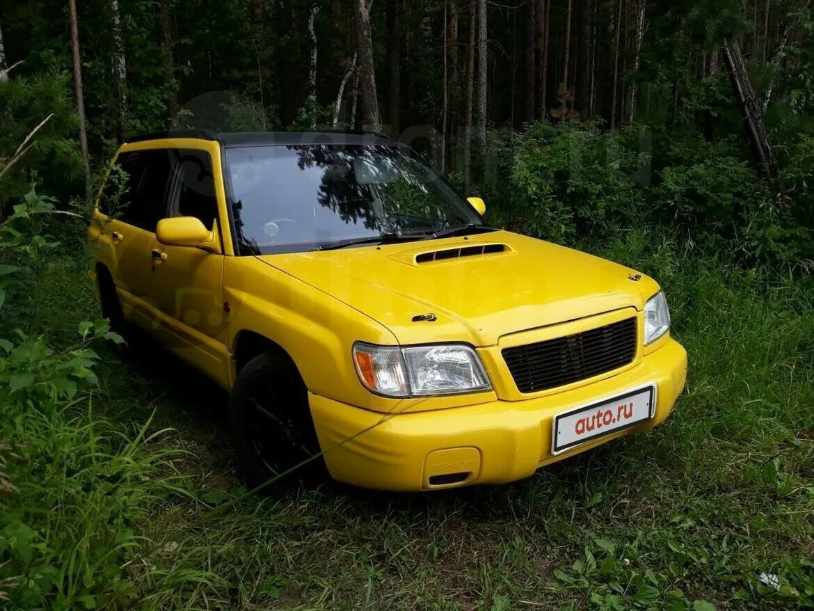 Форестер красноярске купить. Subaru Forester желтый. Желтый Форестер STI. Субару Форестер желтого цвета. Субару Форестер жёлтые 4 к.