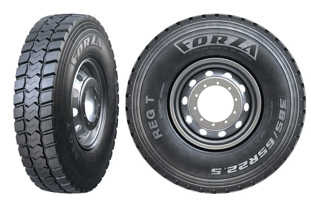 Forza reg t 385 65. Forza reg t 385 65. Forza reg t 385 65. Forza reg t 385 65. Forza reg t 385 65.