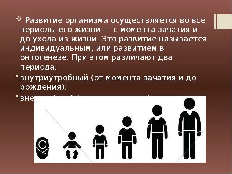 Как называется индивидуальное развитие человека. Индивидуальное развитие организма. Развитие организма осуществляется. Этапы развития организма. Периоды развития организма.