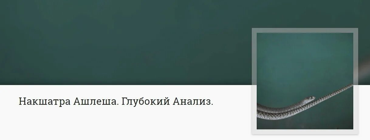 Глубокой разбор. Ашлеша накшатра. Накшатра Ашлеша кот. Ашлеша накшатра фото.