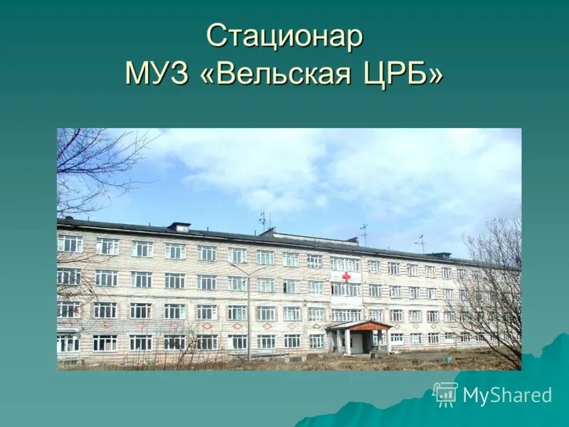 Вельская црб телефоны