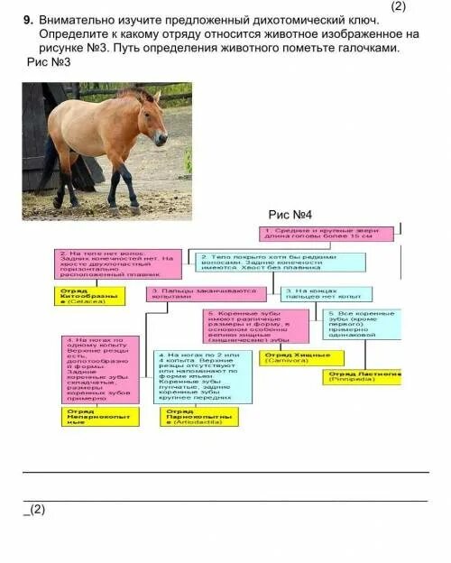 Соч по биологии 7 класс 3 четверть. Сочи по биологии 7 класс за 2 четверть с ответами. Задания суммативного оценивания за 3 четверть физика 8 класс. Соч по биологии 7 класс 3 четверть. Соч по биологии 7 класс 3 четверть.