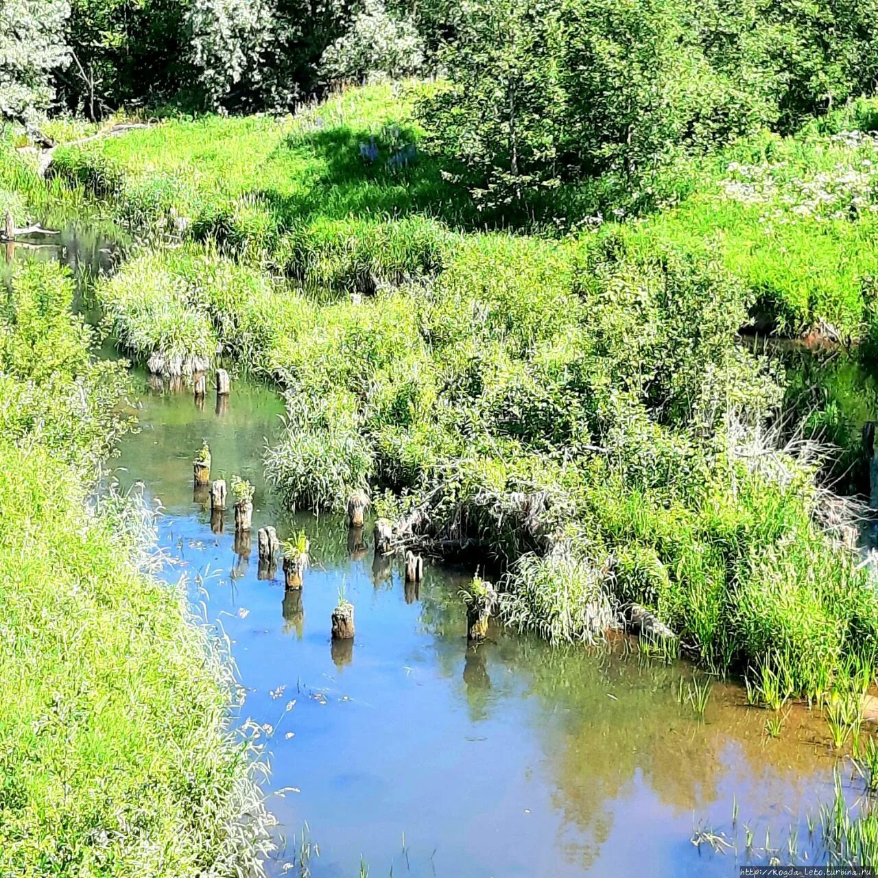 речка вязьма. река вязьма тейково. вязьма (приток уводи). вязьма река в смоленской. исток реки вязьма.