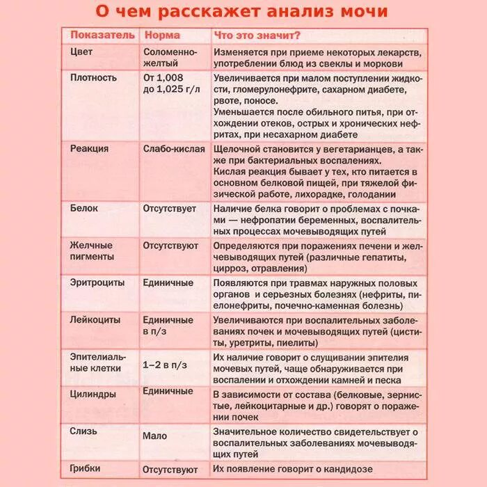 Нормальные показатели клинического анализа мочи. Общий анализ мочи норма и расшифровка. Анализ мочи норма у мужчин. Анализ мочи норма у мужчин. Пример нормального анализа мочи.