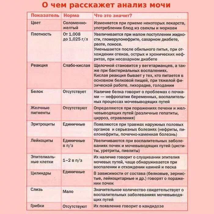 Определить по моче заболевание. Показатели общего анализа мочи при заболеваниях почек. Анализ мочи и заболевания. Показатели мочи патология. Анализ мочи при заболе.