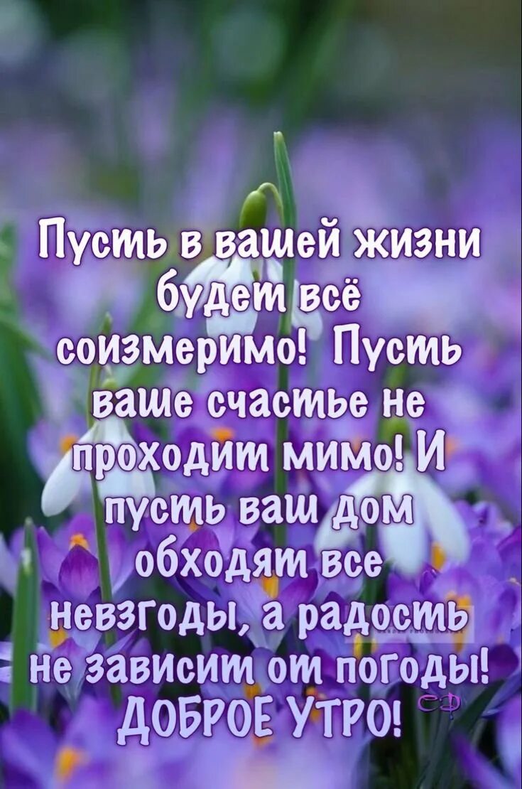 Доброе утро умные слова. Мудрые пожелания с добрым утром. Пожелания доброго утра с мудрыми пожеланиями. Пожелания с добрым утром с мудрыми словами. Пожелания доброго утра с мудрыми высказываниями.