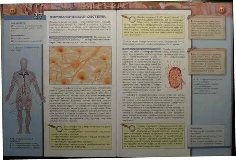 Учебник по биологии 8 класс сухорукова