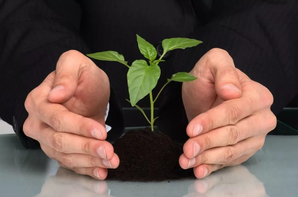 Клизма из красного перца способствует подвижности суставов. Мем парень и девушка. Кем я буду когда вырасту мем. Когда вырасту хочу стать мем. Невысокие девушки.