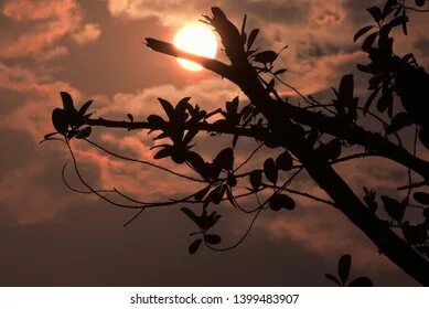 Rising morning