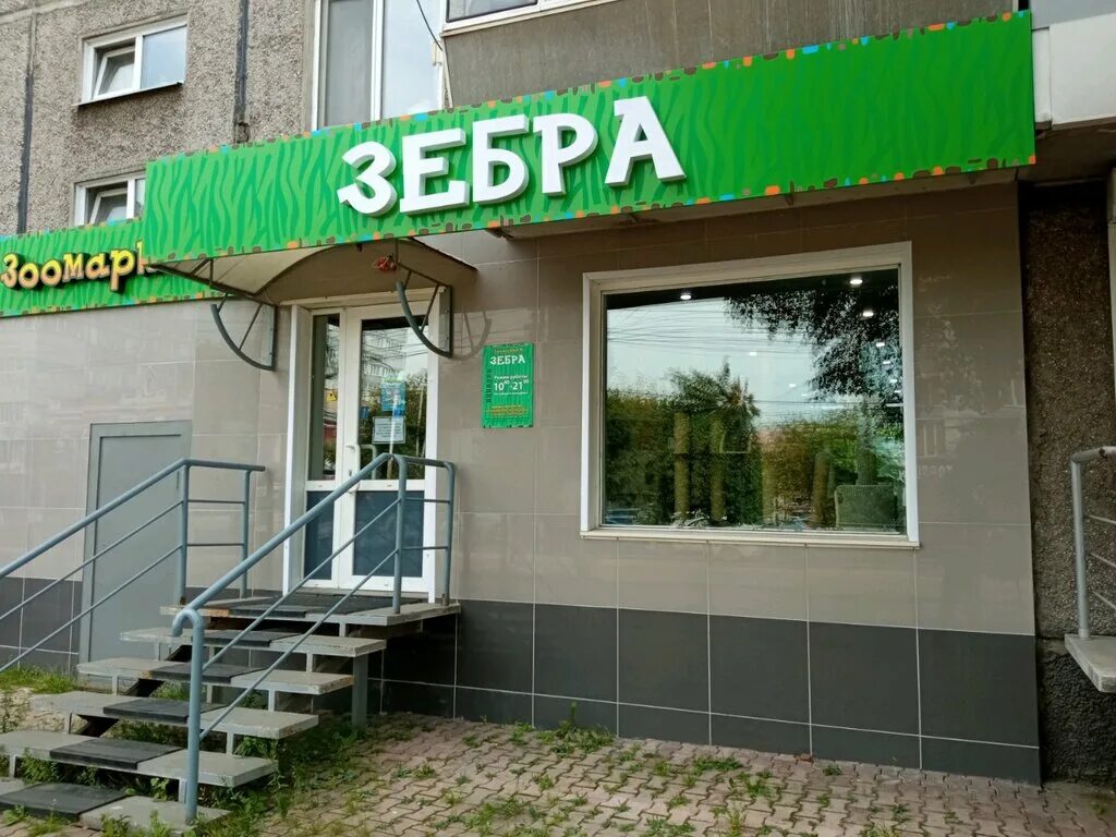 зоомагазин зебра. зебра зоомагазин красноярск. зоомагазин зебра. зоомагазин зебра карта. зоомагазин зебра.