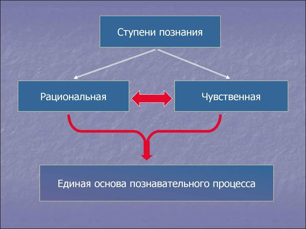 Познание авторы познания. Ступени познания. Ступени процесса познания. Ступени рационального познания. Поза на ступенях.