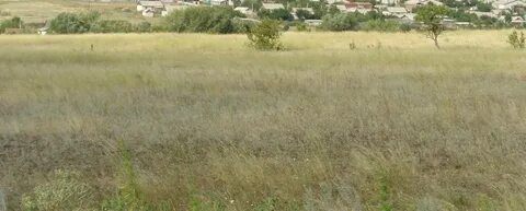 Погода верхняя добринка камышинский волгоградская