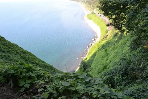 Уреки кобулети