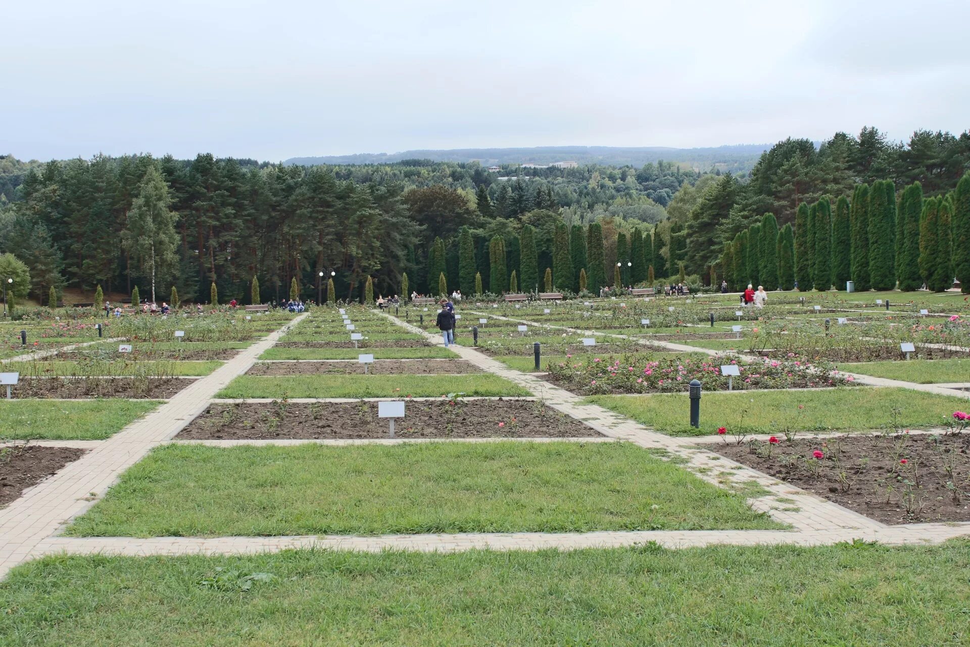 Реальное время кисловодск. Долина роз Кисловодск. Долина роз Кисловодск веб камера. Веб камера город Кисловодск парк Долина роз. Долина роз Кисловодск зимой.