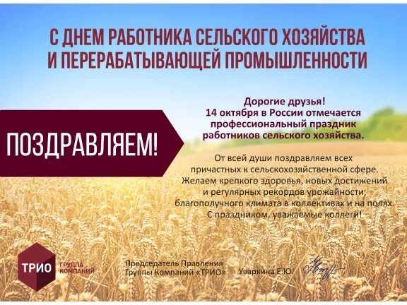 День работника сельского хозяйства газета статья. Рамка с днем сельского хозяйства. Сценарий на день сельхозработника. С новым годом работники сельского хозяйства. С днем работника сельского хозяйства рамка.