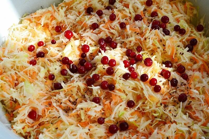Капуста с клюквой квашеная на зиму. Капуста с клюквой. квашеная капуста с клюквой. квашеная капуста с брусникой. салат с капустой квашеной клюквой.