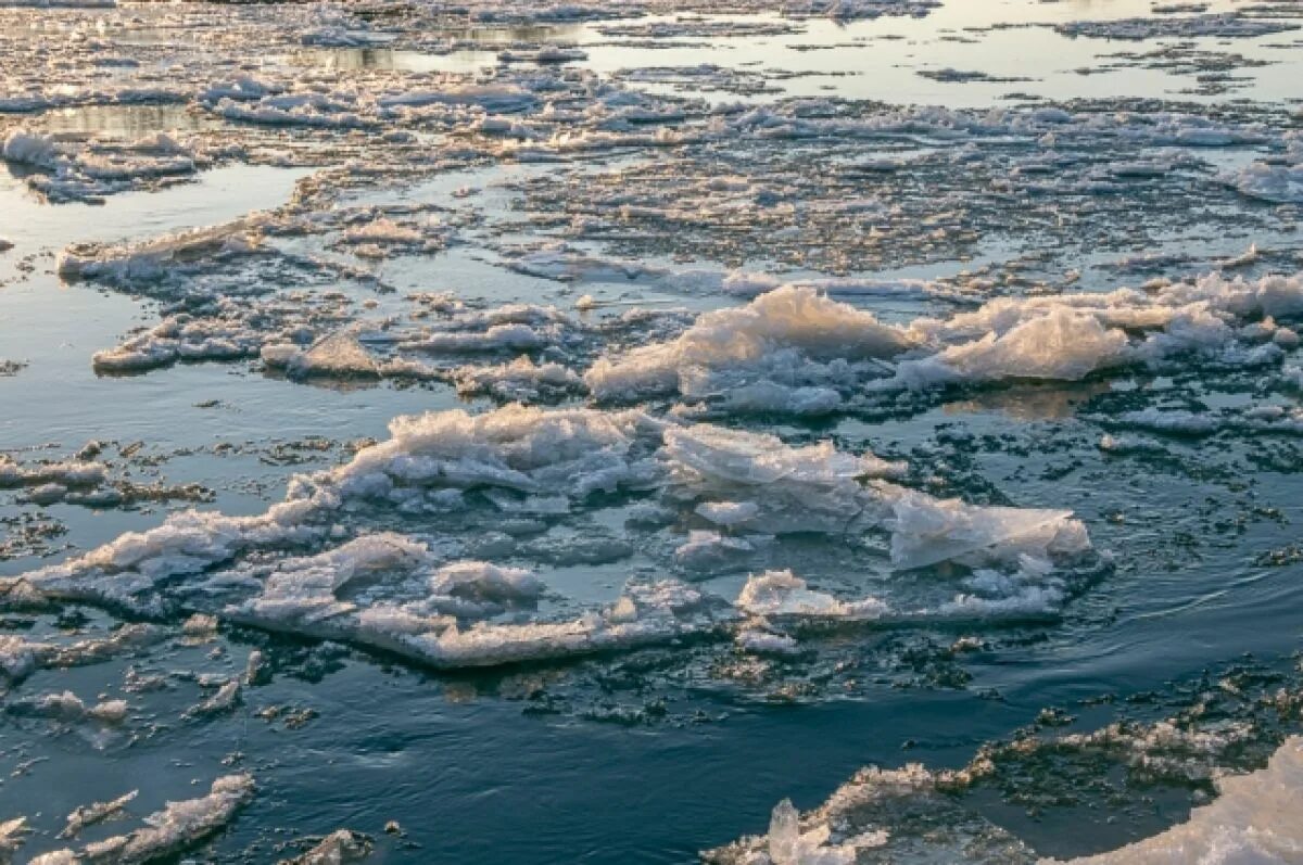 Прочитайте ледоход лед идет вышел на берег. Ледоход на реке Лена 2023. Ледоход на Иртыше. Тюмень ледоход 2023. Ледоход на Оби.