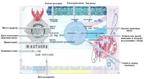 Срок окончания действия визы