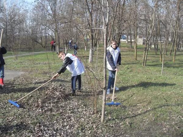 П Жирнов Тацинского района Ростовской области. Посёлок Жирнов Тацинский район Ростовская область. Жирнов Тацинский район школа. Жирнов Ростовская область школа.