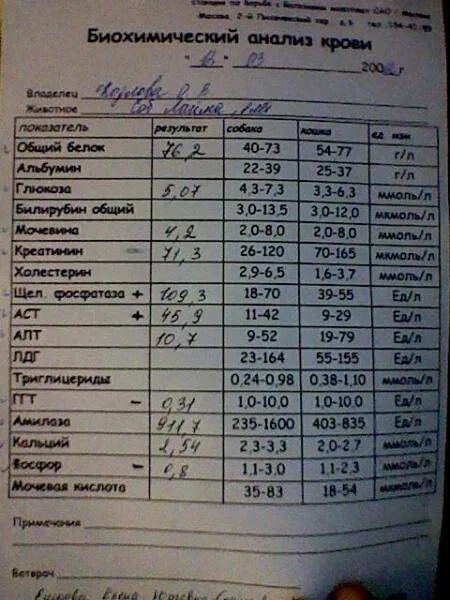 Анализ крови. Биохимический анализ крови. Биохимия анализ. Анализ на биохимическое исследование.