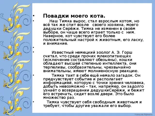 Сочинение на тему мой кот 5 класс. Сочинение на тему мой кот 5 класс